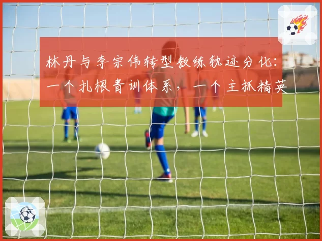 林丹与李宗伟转型教练轨迹分化:一个扎根青训体系,一个主抓精英突击