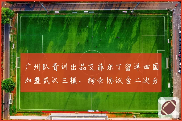 广州队青训出品艾菲尔丁留洋回国加盟武汉三镇,转会协议含二次分成条款